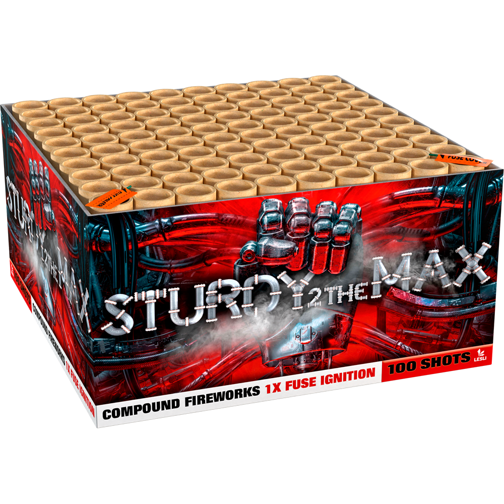 Lesli Sturdy 2 The Max
