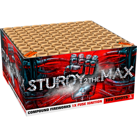 Lesli Sturdy 2 The Max